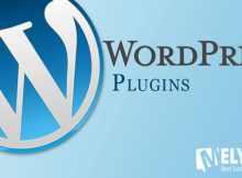 Phát triển plugin Wordpress theo yêu cầu